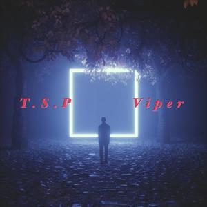 viper (Explicit)