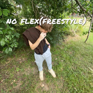 no flex (freestyle) [Explicit]