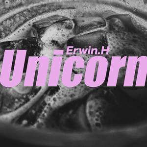 Unicorn（独角兽）