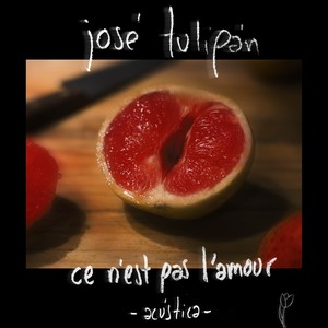 Ce n'est pas l'amour(Acústica)