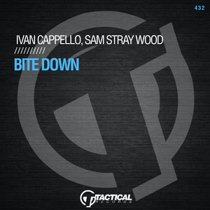 Bite Down (Instrumental Mix)
