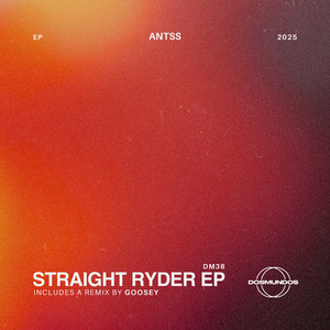 Straight Ryder (Goosey Remix)