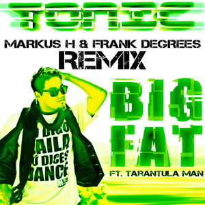 Big Fat (Markus H & Frank Degrees Remix)