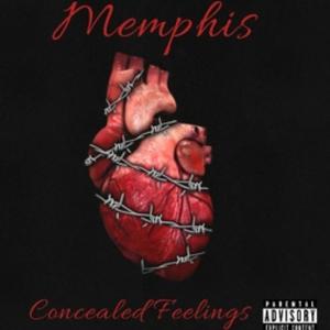 Concealed Feelings (Explicit)