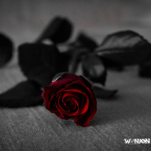 NELLA ROSE but faster