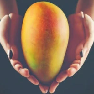 Mango (Explicit)