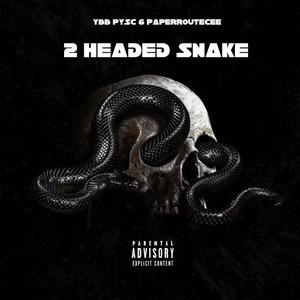 2 Headed Snake