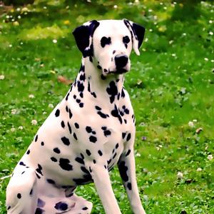 There´s a spy (in the house of love) (feat. Carrie K.)