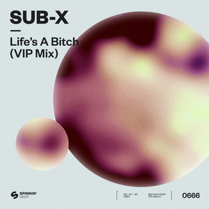 Life’s A ***** (VIP Mix) (Extended Mix) [Explicit]