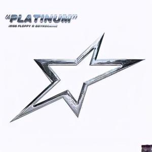 Platinum (feat. bbykocaine) (Explicit)