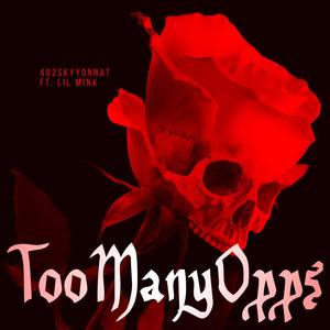 Too Many Opps (feat. Lil Mink) [Explicit]