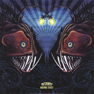 Proceed With Caution