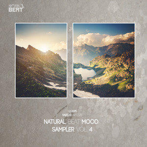 NATURAL BEAT MOOD SAMPLER, VOL. 4