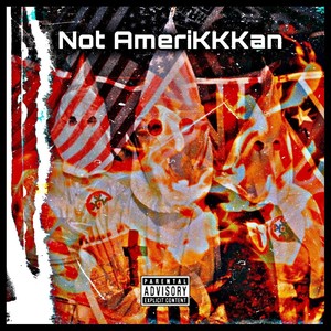 Not Amerikkkan (Explicit)