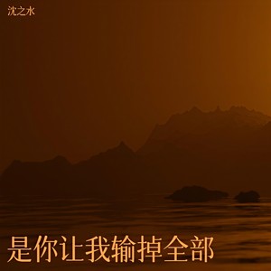 是你让我输掉全部 (烟嗓版)封面