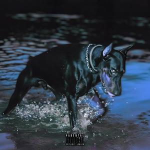 SILVER SURFER (slowed + reverb) (feat. deep mind) (Explicit)