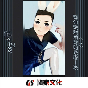 醒来折花 (Remix) - 张一阳封面