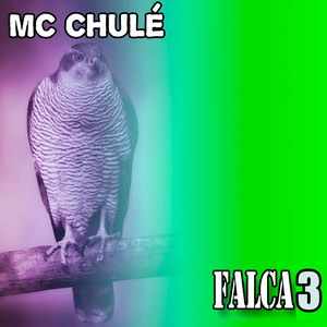 Falca 3