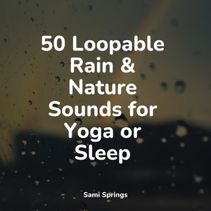 50 Loopable Rain & Nature Sounds for Yoga or Sleep