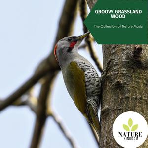 Groovy Grassland Wood - The Collection of Nature Music