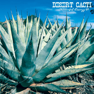 Desert Cacti: Peaceful Energy V1