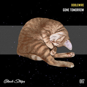 Gone Tomorrow (Original Mix)