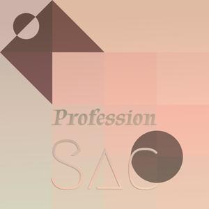 Profession Sac