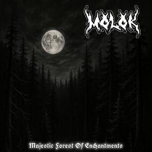 Majestic Forest Of Enchantments (Explicit)