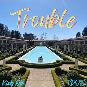 TROUBLE (feat. TDOS)