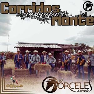 El rey de mil coronas y el tenampa