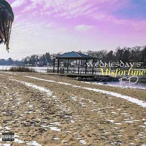 Wednesday's Misfortune (2019)