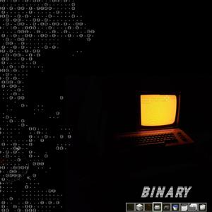 BINARY