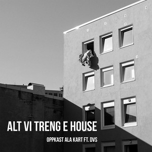 Alt vi treng e house