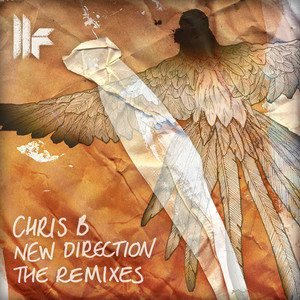 New Direction - The Remixes