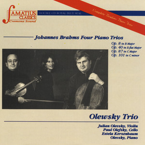 Trio in C Major, Op. 87 - III. Scherzo (Presto)
