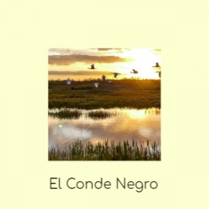 El Conde Negro