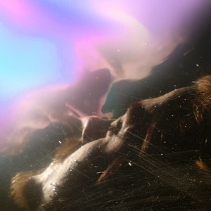 La Prueba del Algodón (Explicit)