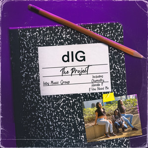 The Project (Explicit)