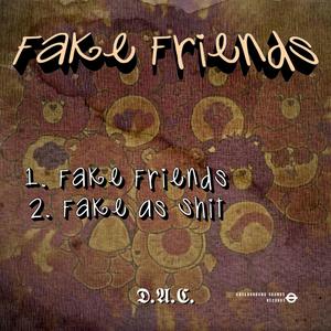 Fake Friends (Explicit)
