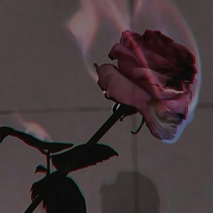 睡在哪里不都睡在夜里