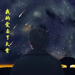我的爱去了天堂