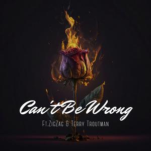 Can't Be Wrong (feat. ZigZag & Terry Troutman)