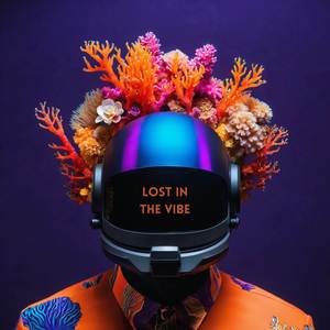 Lost in the Vibe