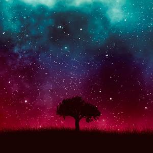 Last Night (Explicit)