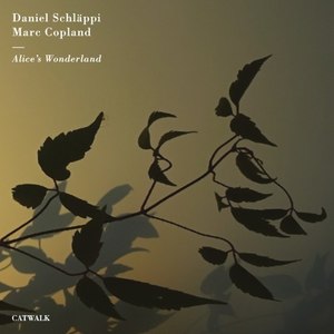 Daniel Schläppi - Day and Night