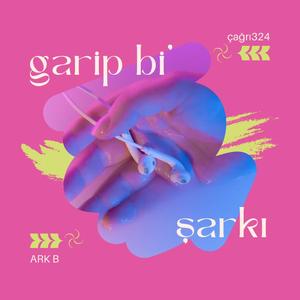 garip bi' şarkı (feat. Ark B)