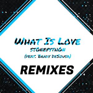 What Is Love (feat. Brady DeSousa) [The Remixes]