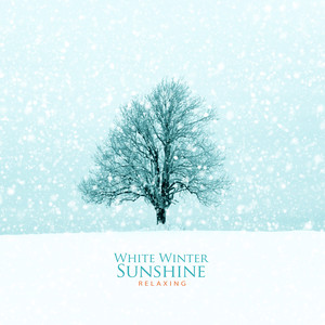 하얀 겨울의 햇살 (White Winter Sunshine)
