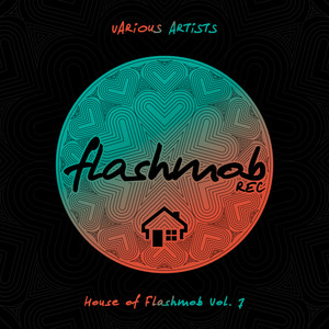 House of Flashmob, Vol. 7