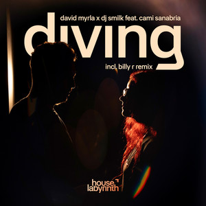 Diving (feat. Cami Sanabria) (Billy R Remix)